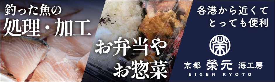 久美浜で釣れる 人気のおいしい魚