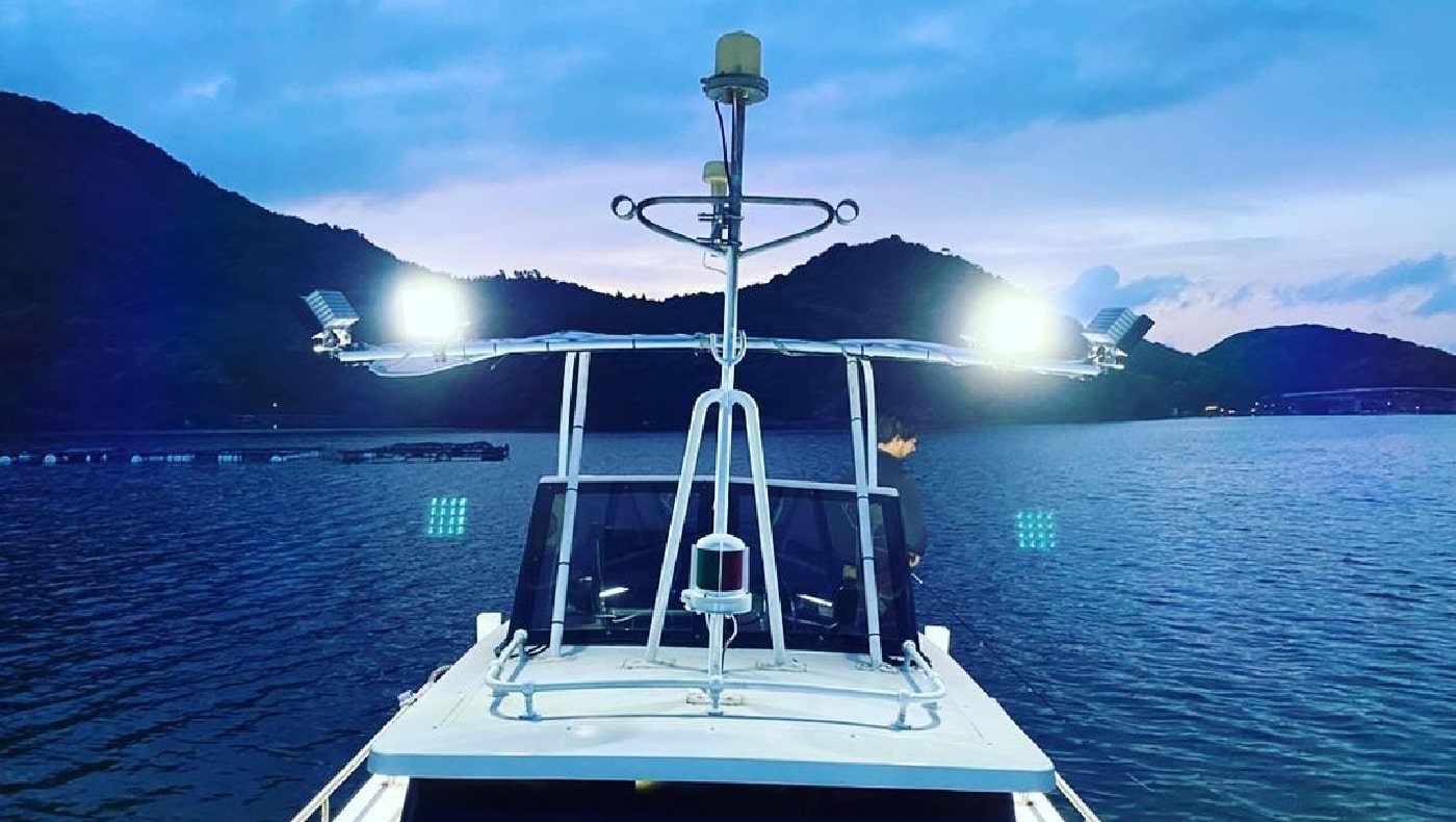 釣りのシーズンについて