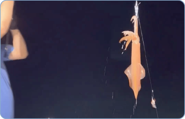 エキサイティングな釣り